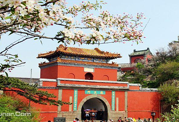 泰山风景区第 32 张图片