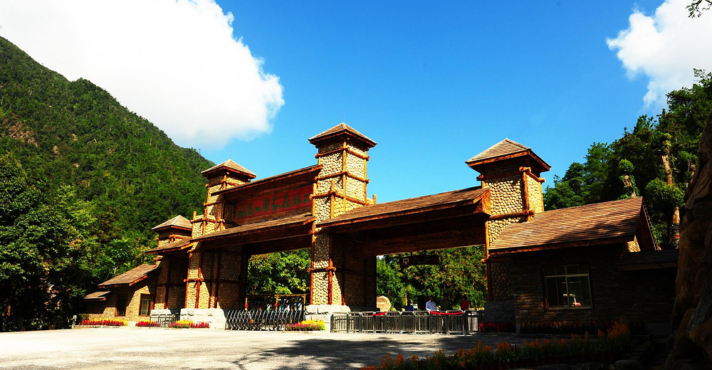 姑婆山森林景区门票(成人票)