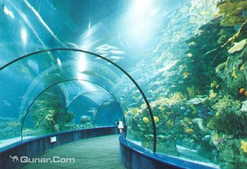 墨尔本水族馆第 60 张图片