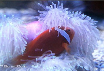 龙门海洋馆第 32 张图片