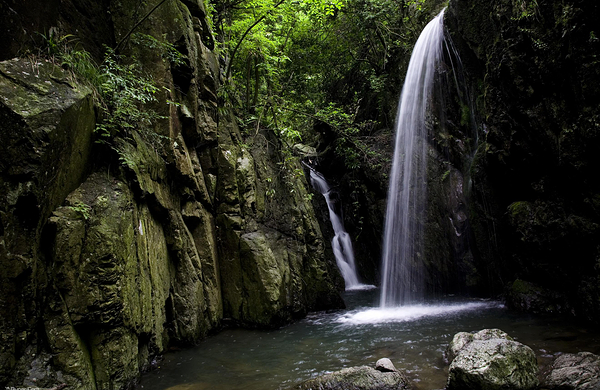 金华花溪景区成人票