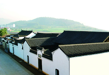 玉山古茶场第 10 张图片