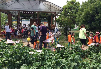 格林庄园第 17 张图片