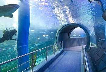 墨尔本水族馆第 62 张图片