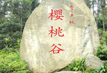 金土地樱桃谷第 1 张图片