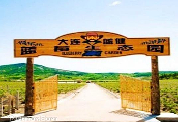 蓝健蓝莓生态园第 2 张图片