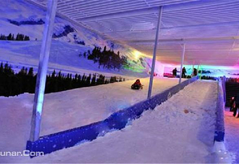 冰雪极地嘉年华（成都万象城站）第 2 张图片