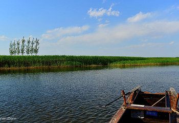 白洋淀景区第 28 张图片