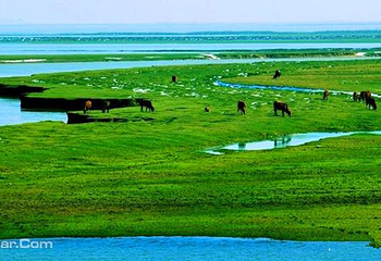 鄱阳湖国家湿地公园第 24 张图片