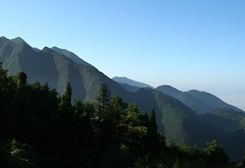 缙云山第 5 张图片