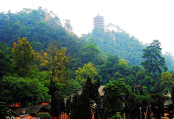 缙云山第 14 张图片