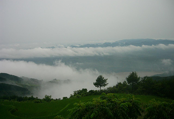 雨台山风景区第 13 张图片