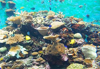 台湾海洋生物博物馆第 7 张图片