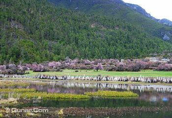 嘎朗湖景区第 4 张图片