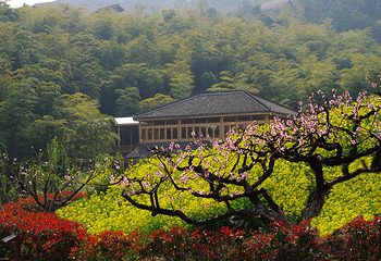 长兴城山沟景区第 3 张图片
