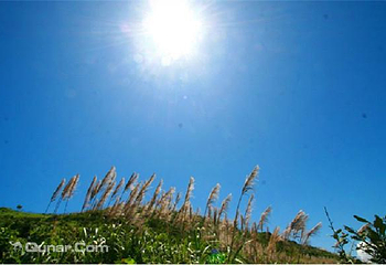 舟山白沙岛景区第 6 张图片