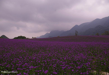 红池坝风景区第 6 张图片