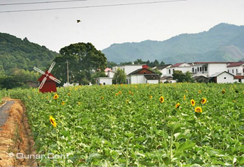 庐山博阳河生态休闲风景区第 3 张图片