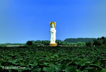 白洋淀景区第 18 张图片