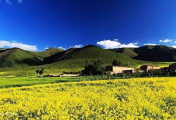 大坂山第 3 张图片