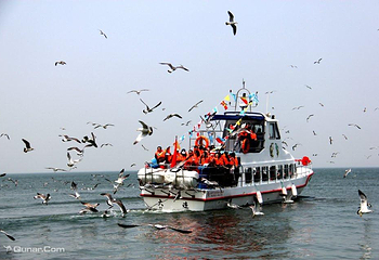神龙仙岛海上主题公园第 23 张图片