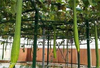 如意生态园第 7 张图片