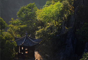千岛湖石林景区第 3 张图片