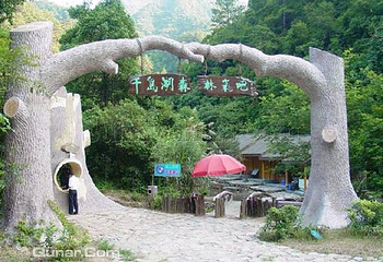 千岛湖森林氧吧第 5 张图片