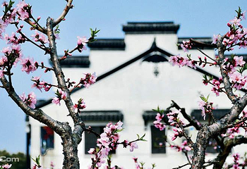 无锡阳山桃花源景区第 13 张图片