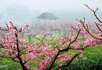 无锡阳山桃花源景区第 15 张图片