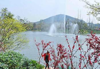 无锡阳山桃花源景区第 14 张图片