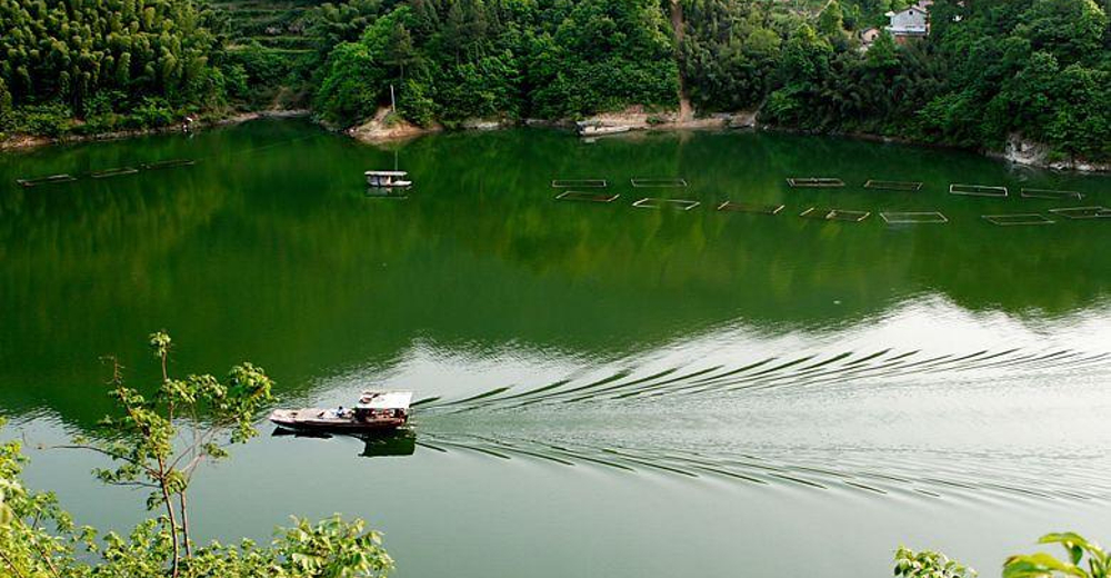 别山湖景区(成人游船票)--大别山湖泊(景区支付)