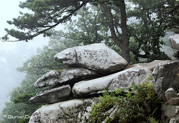 大别山主峰景区白马尖第 42 张图片