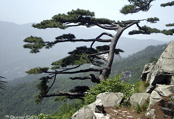 大别山主峰景区白马尖第 50 张图片