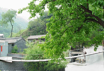 双龙山森林公园第 4 张图片
