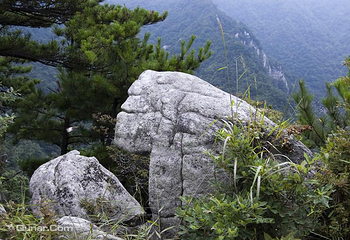 大别山主峰景区白马尖第 43 张图片