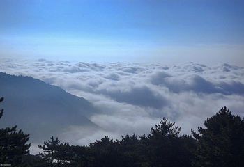 大别山主峰景区白马尖第 54 张图片