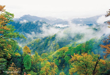 大别山主峰景区白马尖第 51 张图片