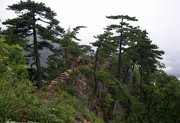 大别山主峰景区白马尖第 48 张图片