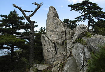 大别山主峰景区白马尖第 4 张图片
