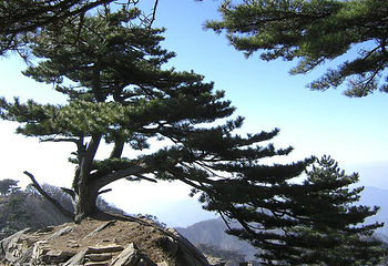 大别山主峰景区白马尖第 47 张图片