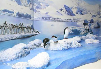 崇礼县冰雪博物馆第 4 张图片