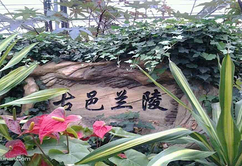 兰陵国家农业公园第 17 张图片