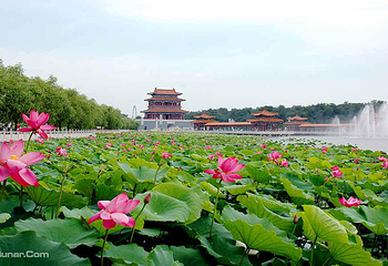 南戴河大观园第 1 张图片
