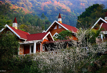 新兴天露山旅游度假区第 22 张图片