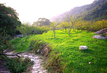 新兴天露山旅游度假区第 8 张图片