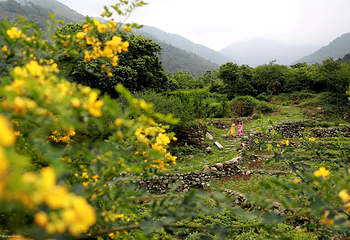 新兴天露山旅游度假区第 38 张图片