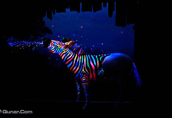 世纪金花夜光3D艺术展第 5 张图片
