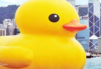 大黄鸭奥帆中心展第 2 张图片