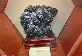 大盘山地质公园陈列馆第 2 张图片